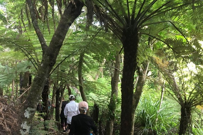 Waiheke Island Private Guided Te Ara Hura Walk - Tour Duration