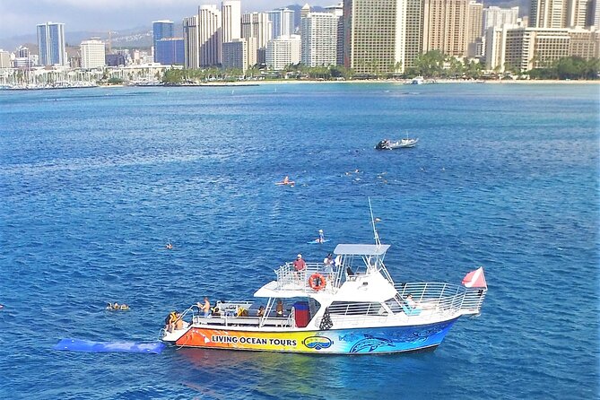 Waikiki: Turtle Canyon Snorkeling Tour From Honolulu  - Oahu - Inclusions and Meeting Point