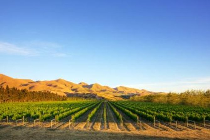 Waipara Wine Trail Afternoon Tour From Christchurch - Booking and Logistics