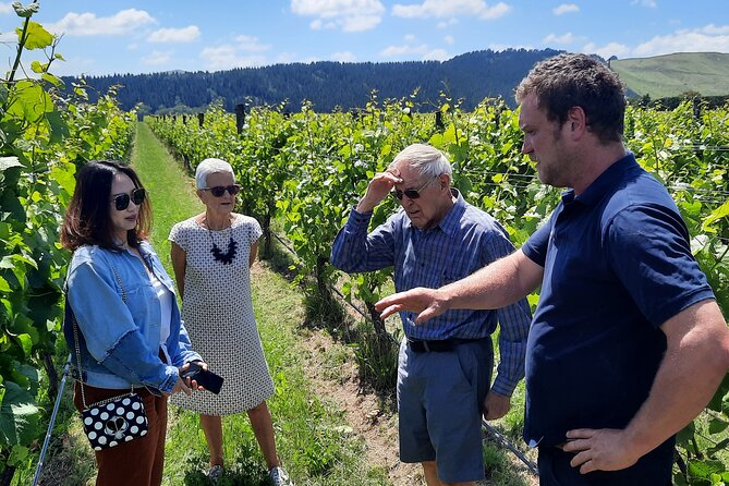 Wairarapa Food Small-Group Tour With Tastings, Vineyard Lunch  - Wellington - Tour Highlights