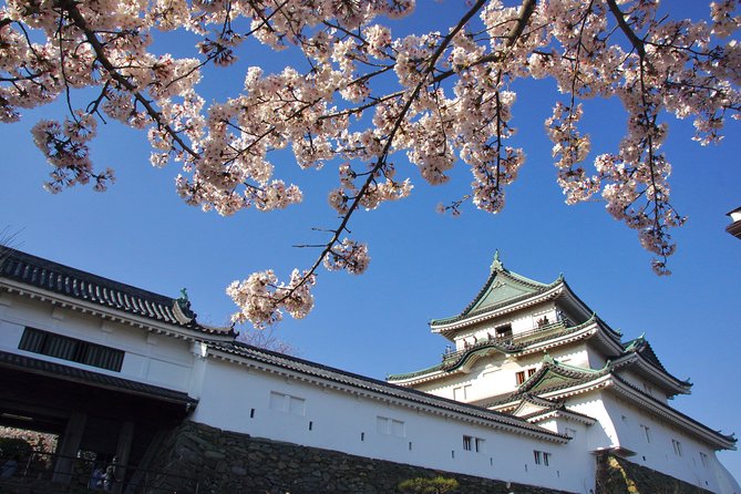 Wakayama Castle Town Walking Tour - Itinerary Overview