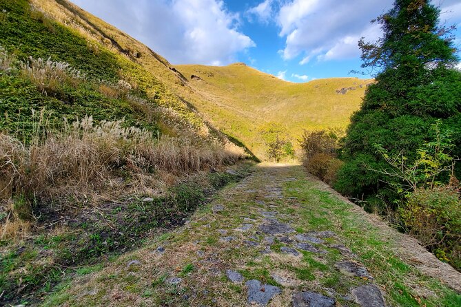 Walking Through the Aso Caldera, Historical Walk Along the "Bungo Kaido" - Tour Price and Booking Information