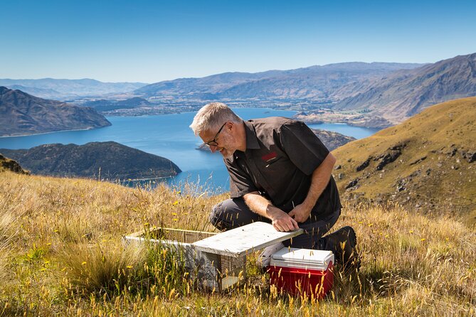 Wanaka Nature Encounter: Lake Cruise and 4WD Safari - Exclusive 4WD Safari Access