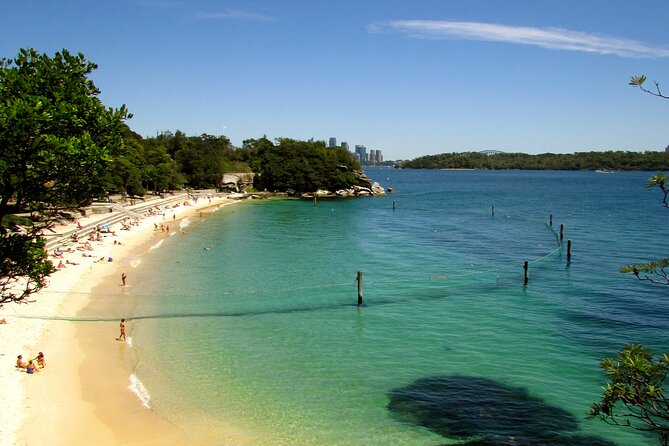 Watsons Bay Walking Tour and Surf Lesson at Bondi Beach - Booking and Contact Details