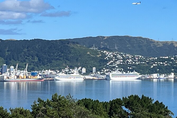 Wellington Private Tandem Tesla Tour - Tour Highlights and Itinerary