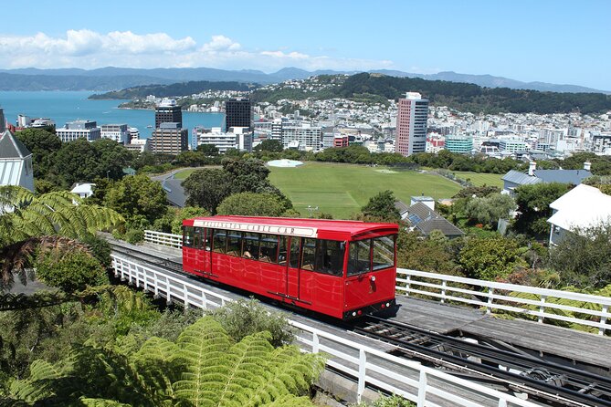 Wellington Scenic Full Day Tour - Cancellation Policy