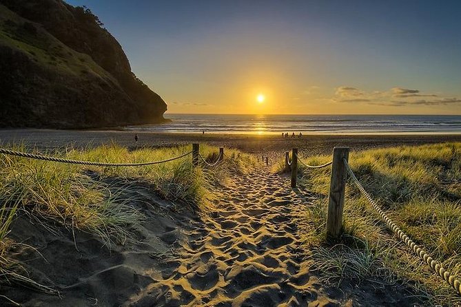 West Coast Discovery - Piha Beach or Muriwai Beach From Auckland - Reviews and Ratings Overview