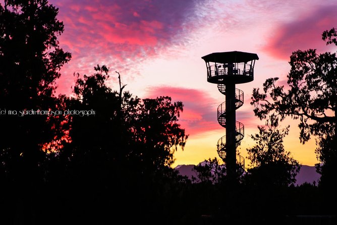 West Coast Tree Top Walk Experience - Booking and Capacity Information