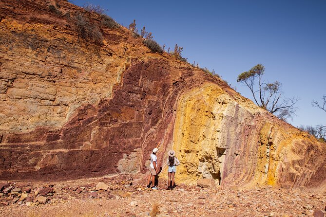 West Macdonnell Ranges & Standley Chasm Day Trip From Alice Springs - Expert Guide Information