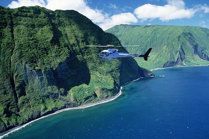 West Maui and Molokai Special 45-Minute Helicopter Tour - Customer Reviews