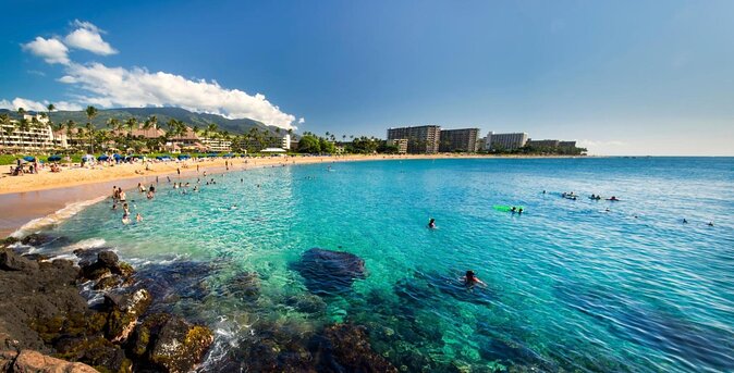 West Maui Half Day Snorkel From Ka'Anapali Beach - Snorkeling Locations and Marine Life