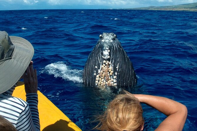 Whale Watch Adventure Aboard Mauis Only Luxury Super Raft - Inclusions and Amenities