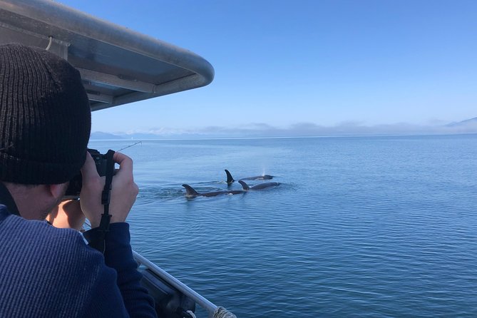 Whale Watching Charters Through Icy Strat Alaska - Accessibility and Services