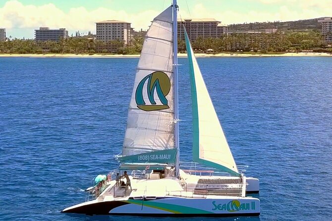 Whale Watching Cruise With Open Bar From Kaanapali Beach - Flexible Cancellation Policy