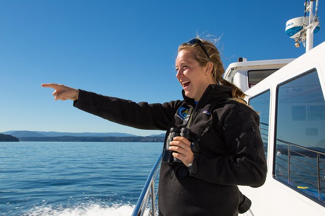 Whale Watching From Friday Harbor - Logistics