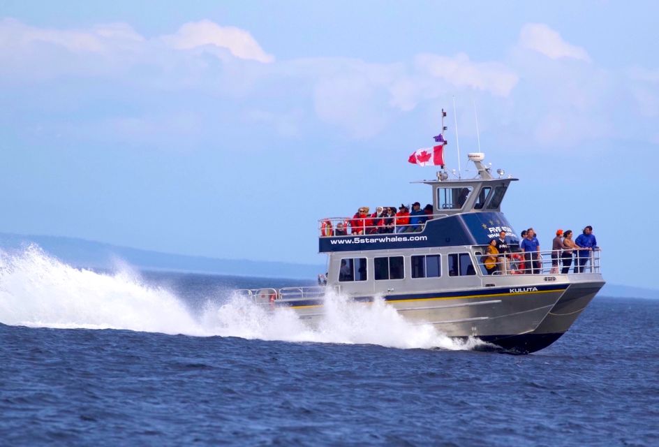 Whale Watching Tour in Victoria, BC - Experience Details