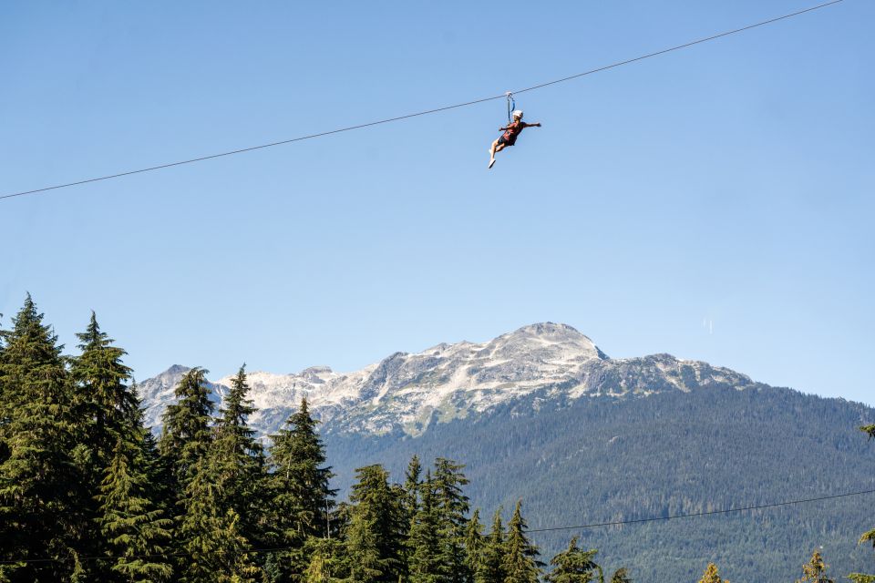 Whistler Zipline Experience: Ziptrek Eagle Tour - Experience Details