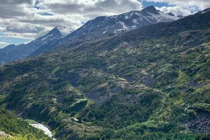 White Pass Deluxe Tour From Skagway - Reviews and Response