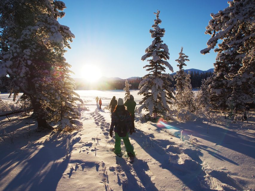 Whitehorse: Half-Day Snowshoeing Tour - Experience Highlights