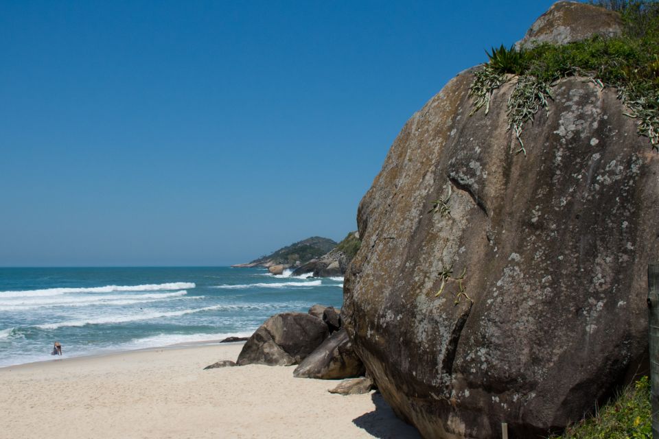 Wild Beaches and Brazilian Rum Farm With a Photographer - Experience