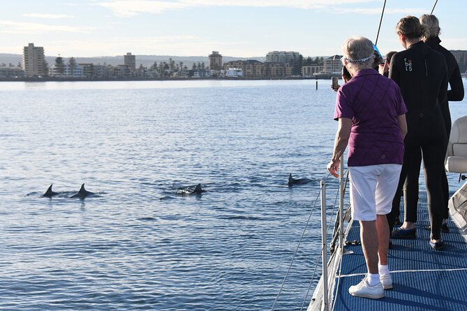 Wild Dolphin Watch Cruise - Boarding and Activity Timeline
