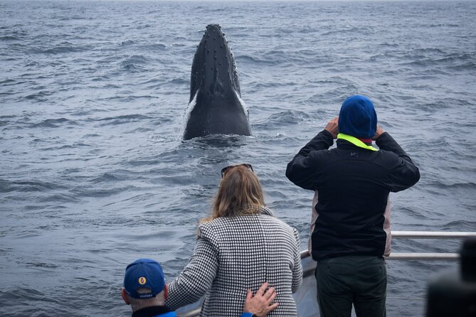 Wilsons Prom Whale Cruise - Logistics Details