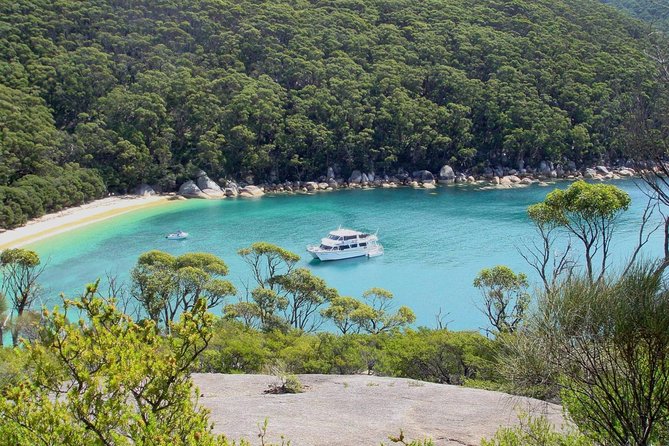 Wilsons Promontory Full Day Cruise - Island Sanctuary Visit