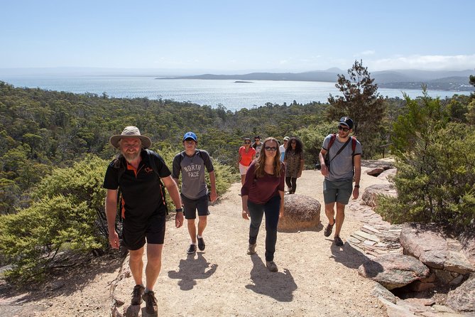 Wineglass Bay and Freycinet National Park Active Day Trip From Hobart - Tour Itinerary