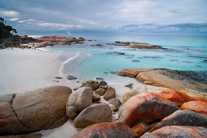 Wineglass Bay Day Tour Private Charter Service - Customer Reviews