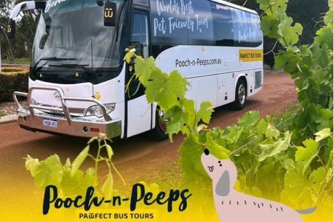 Wineries Bus Tours - Bus Amenities
