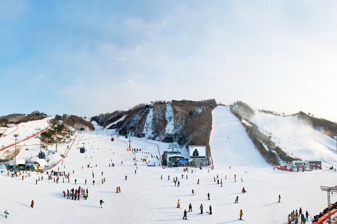 Winter Fun at Vivaldi Ski Resort With Romantic Winter Scenery at Nami Island - Family-Friendly Activities and Amenities