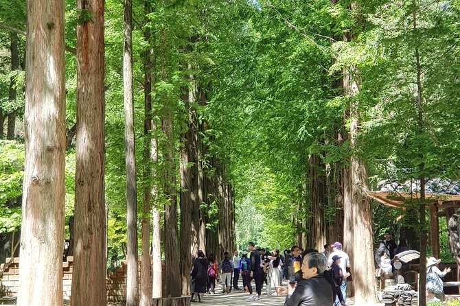 Winter Sonata TV Tour on Nami Island From Seoul - Visitor Experiences
