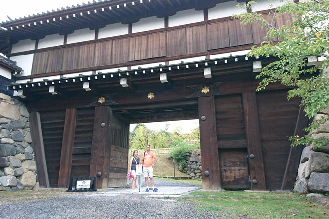Yamato-Koriyama Castle and Goldfish Small-Group Tour From Nara - Itinerary Overview