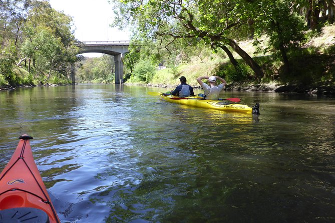 Yarra River Kayak Hire - Inclusions and Equipment Provided