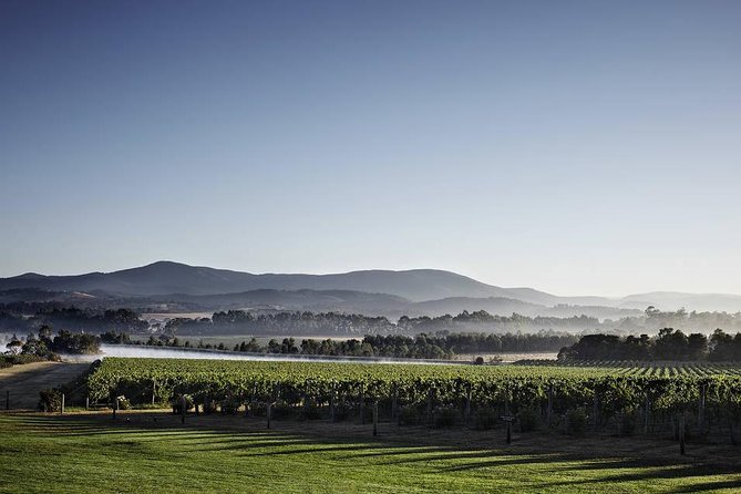 Yarra Valley Exceptional - Private Day Tour - for 2 - With Lunch - Booking Information