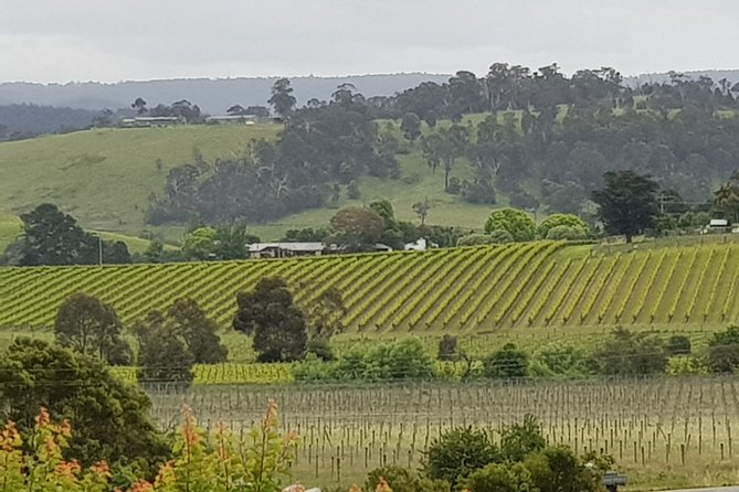 Yarra Valley Wine Tasting Day Tour From Melbourne - Cancellation Policy