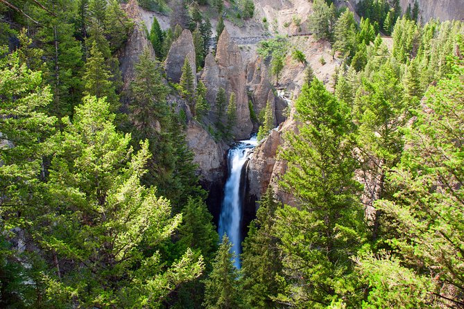 Yellowstone Full Day Private Tour - Inclusions and Equipment