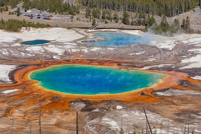 Yellowstone Lower Loop Guided Tour From Cody, Wyoming - Tour Experience