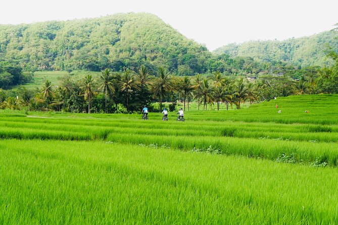 Yogyakarta Small-Group Countryside Cycle Tour With Snacks - Cancellation Policy and Product Code
