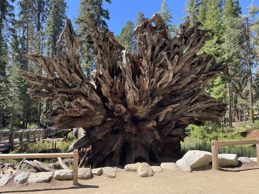 Yosemite, Giant Sequoias, Private Tour From San Francisco - Unforgettable Sightseeing Experiences
