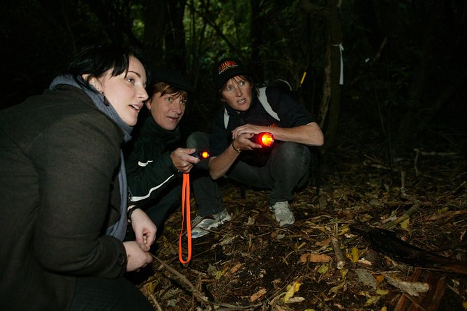Zealandia Small Group Eco Wildlife Night Tour - Tour Experience