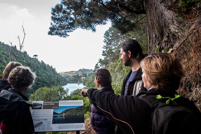 Zealandia - Twilight Guided Eco Wildlife Tour - Experience and Expectations