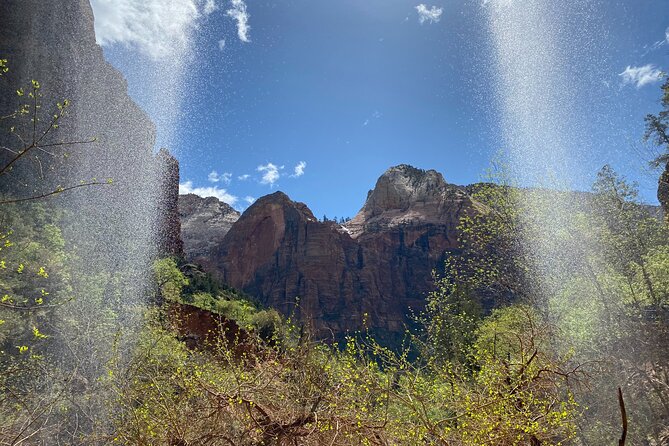 Zion National Park: Private Guided Hike & Picnic - Cancellation Policy & Customer Feedback