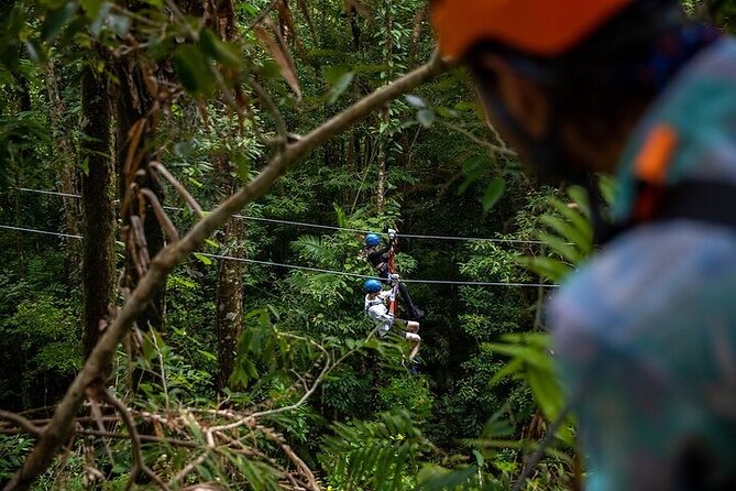Ziplining Cape Tribulation With Treetops Adventures - Cancellation Policy Details