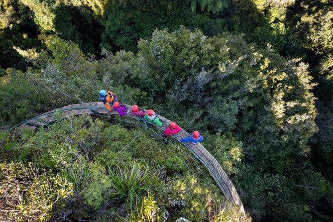 Ziplining Forest Experience - The Ultimate Canopy Tour Rotorua - Cancellation Policy Details