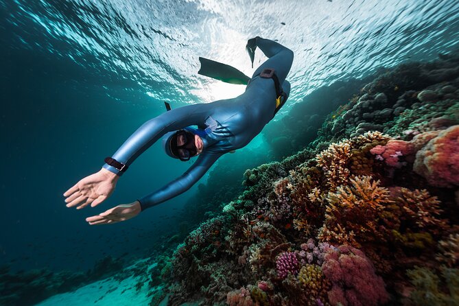 3-Day Freediving Level 1 Course - Key Points