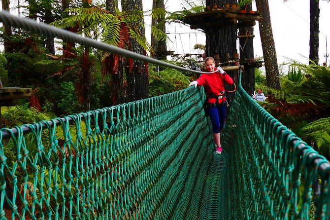 3-Hour Admission to Forest Obstacle Course, Auckland - Key Points