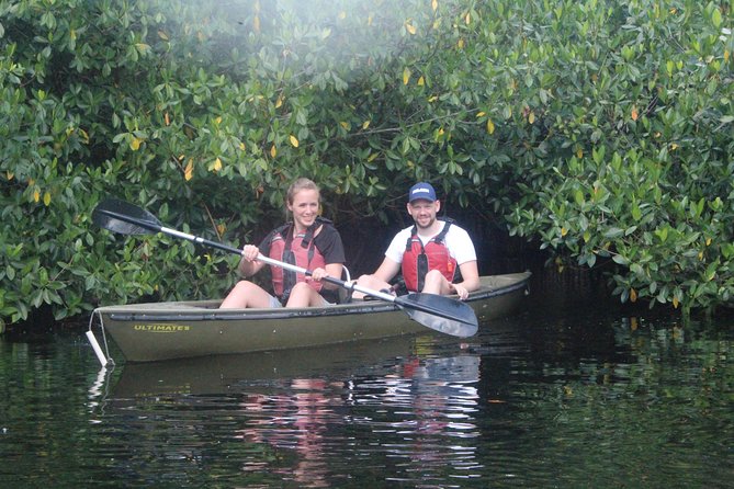 3 Hour Guided Mangrove Tunnel Kayak Eco Tour - Key Points