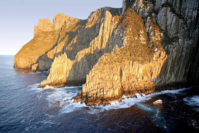 3-Hour Tasman Peninsula Wilderness Cruise From Port Arthur - Key Points