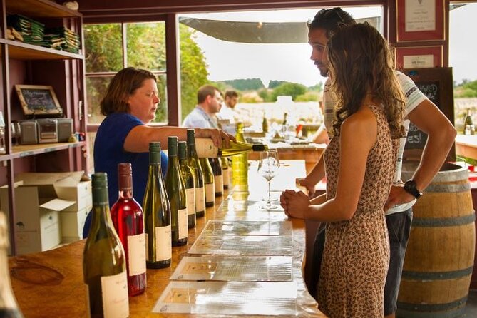 1/2 Day Martinborough Private Chefs Wine Tastings Tour With Lunch - Experience Details